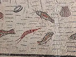 Detail, vissen, mossel, schelp, vlokreeftje