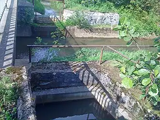 De duiker van de Fichtenohe onder de Pegnitz