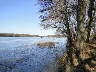 Bevroren Dümmersee februari 2012