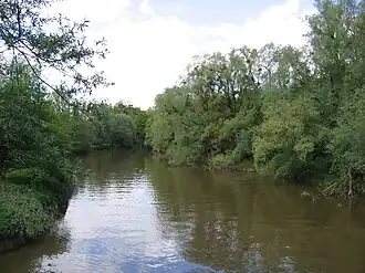 De Schussen kort voor haar monding bij Eriskirch