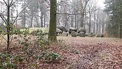 D49 is gedeeltelijk overdekt door een dekheuvel