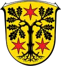 Wapen van de Odenwaldkreis