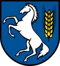 Wapen van St. Johann