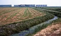 Vereijleweg en flats in Sterrenkwartier (1966)