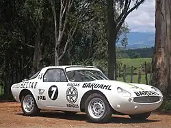 GT Malzoni, raceversie