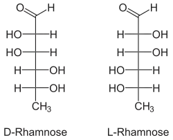 Fischerprojectie van rhamnose