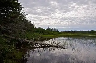 Zicht op het uiterste zuiden van Long Steady