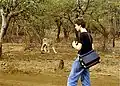 Daan Remmerts de Vries op reis in Gir Forest National Park in India, 1981