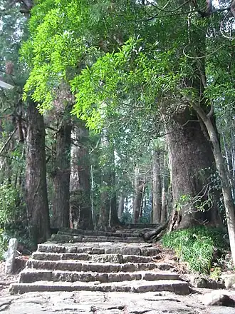 Heilige plaatsen en pelgrimsroute in het Kii-gebergte