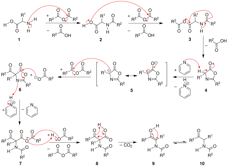 Mechanisme van de Dakin-West-reactie