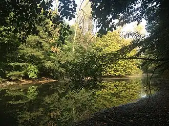 De grote vijver van het Dalemansbos gezien vanuit het zuidwesten.