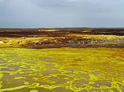 Thermale gebied van Dallol