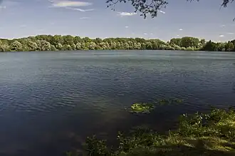 Dammeer (Destelbergen)