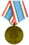 Dancon-Unifil medaille
