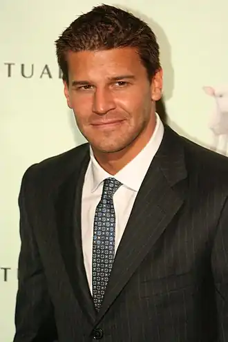 Vertolker David Boreanaz, 2007