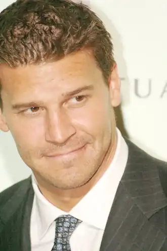 Acteur David Boreanaz