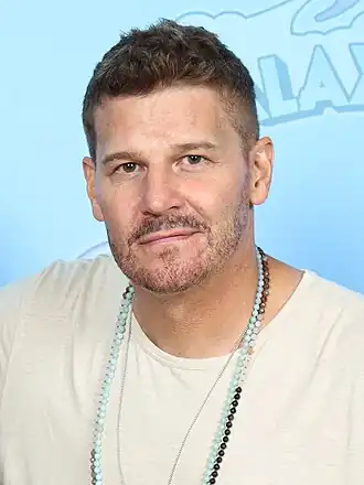 David Boreanaz in 2023