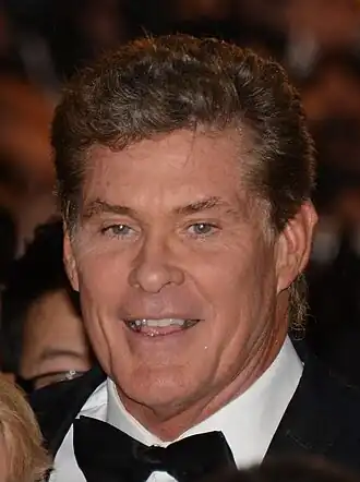 Hasselhoff in 2013