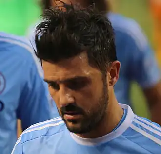 David Villa