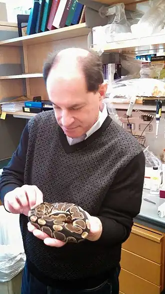 David Julius in 2016