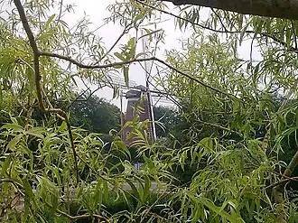 De Annemie gezien door een boom heen, vanuit Acht.