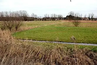 De Buylaers, gezien vanaf de Durmedijk