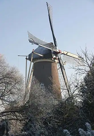 De Hoop (2009)