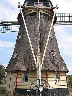 Staart zonder lange schoren juni 2007