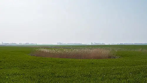 Dobbe aan zuidzijde van de weg