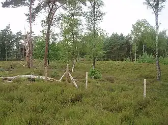 Locatie van de voormalige prehistorische kampplaats in De Liereman