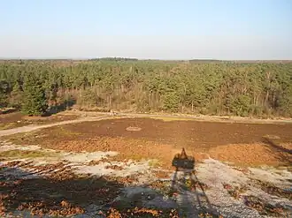 Uitzicht uitkijktoren Paraboolduin