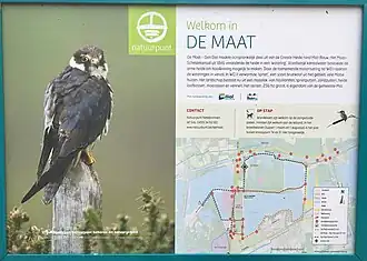 De Maat