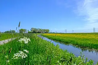 Aan westzijde van De Raken gezien vanuit het westen