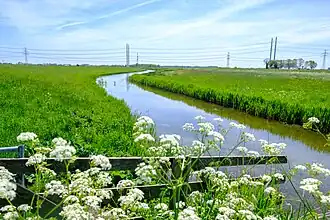 Aan zuidzijde van De Raken