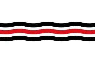 Vlag van het De Runde