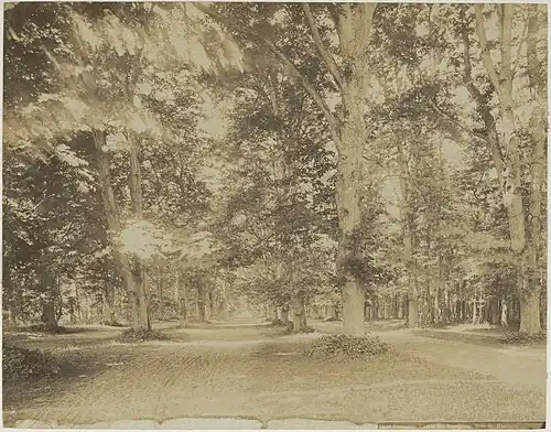 Spanjaardslaan ziende naar het westen omstreeks 1860