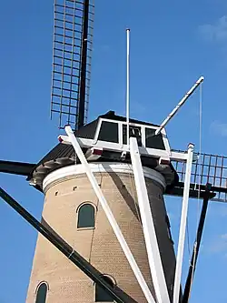 Staart met wipstok en achterkeuvelens