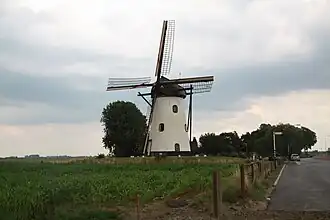 De Witte Molen (2009)