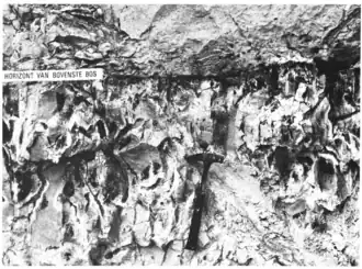 Horizont van Bovenste Bosch in de Groeve Kreco