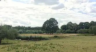 De locatie van kasteel Palmestein (2022)