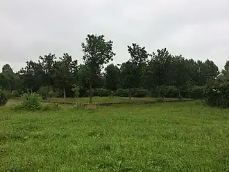 De locatie van voormalig kasteel Caetshage, Culemborg (17 augustus 2019)