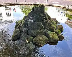 Zomeraspect van de associatie bij een fontein