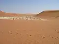 Dodevlei bij Sossusvlei