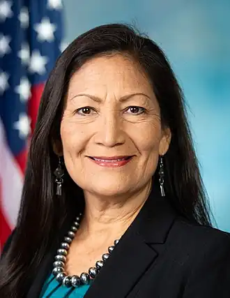 Debra Anne Haaland