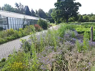 Tuinbouwschooltuin Frederiksoord