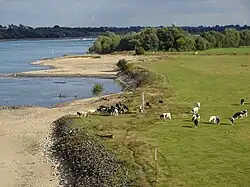 Zandbanken bij de Rijnbrug
