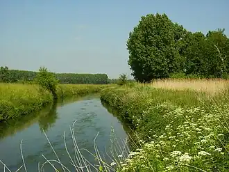 De Demer in Kuringen, vlak bij de abdij van Herkenrode