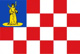 Vlag van Den Dungen