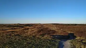 De Noordduinen ter hoogte van Zanddijk 3, in de verte in het midden de Grafelijkheidsduinen en rechts de Donkere Duinen met daarachter vuurtoren de Lange Jaap