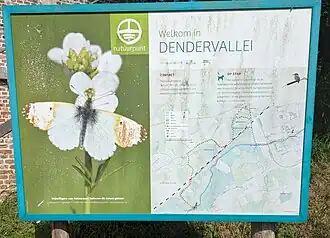 Dendervallei Ninove